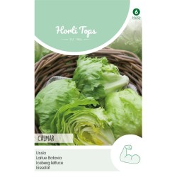 HortiTops IJssla Calmar