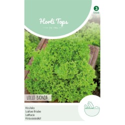 HortiTops Krulsla Lollo Bionda