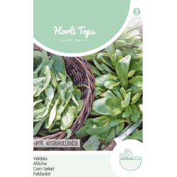 Hortitops Veldsla grote Noordhollandse