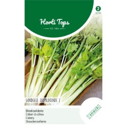 HortiTops Bleekselderie Goudgele Zelfblekende 2 HortiTops Bleekselderie Goudgele Zelfblekende 2