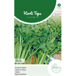 Hortitops Groene selderie – Pascal Hortitops Groene selderie – Pascal
