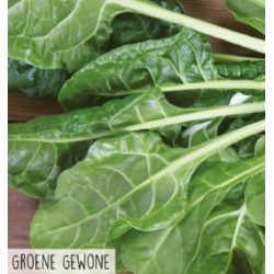 Hortitops Snijbiet groene gewone Hortitops Snijbiet groene gewone