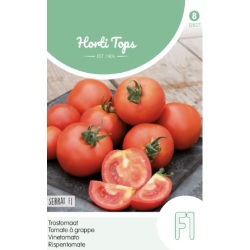 Hortitops trostomaten serrat f1