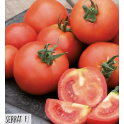 Hortitops trostomaten serrat f1