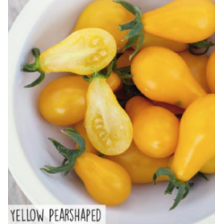 HortiTops Gele Tomaat / Yellow Pearshaped