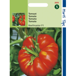 Hortitops Tomaat – Beefmaster F1