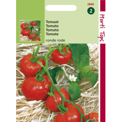Hortitops Tomaat Ronde rode - St. Pierre grote