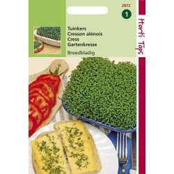 Hortitops Tuinkers breedbladig