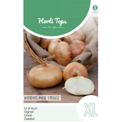 Hortitops Uien Noordhollandse strogele