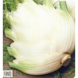 Hortitops Venkel Fino