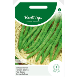 Stokslabonen Terli spekboon 100 gram