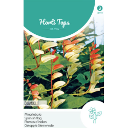 Hortitops Mina Lobata Spaanse vlag Hortitops Mina Lobata Spaanse vlag