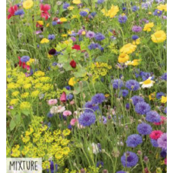 Hortitops Snijbloemen mengsel mix Hortitops Snijbloemen mengsel mix