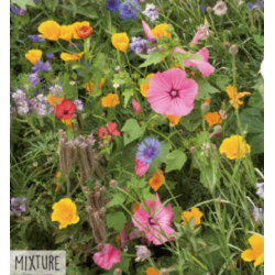 Hortitops Vlinderbloemenmengsel