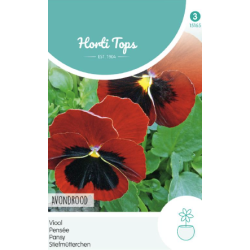 Hortitops Viool – Avondrood
