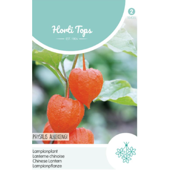 Hortitops Physalis Lampionplant