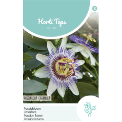 Hortitops Passiebloem