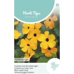 Hortitops Suzanne-met-de-mooie-ogen Hortitops Suzanne-met-de-mooie-ogen