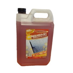 Ruitensproeiervulling zomer 5 L