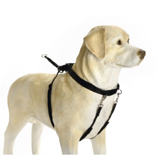 Beeztees Gentle Walker zwart s