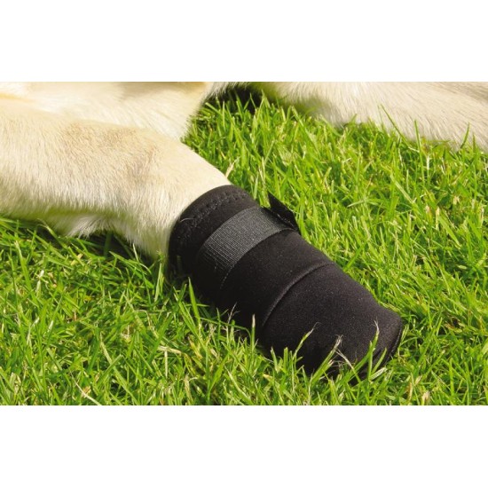 Beschermingsschoen honden zwart XL 2st