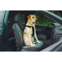 Wandel- en autogordel hond S