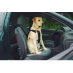 Wandel- en autogordel hond M