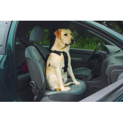 Wandel- en autogordel hond M