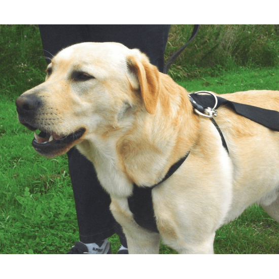 Wandel- en autogordel hond M Wandel- en autogordel hond M