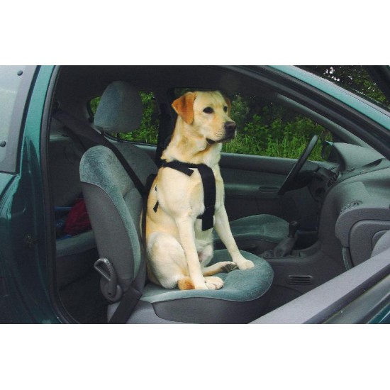 Wandel- en autogordel hond M