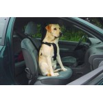 Wandel- en autogordel hond L