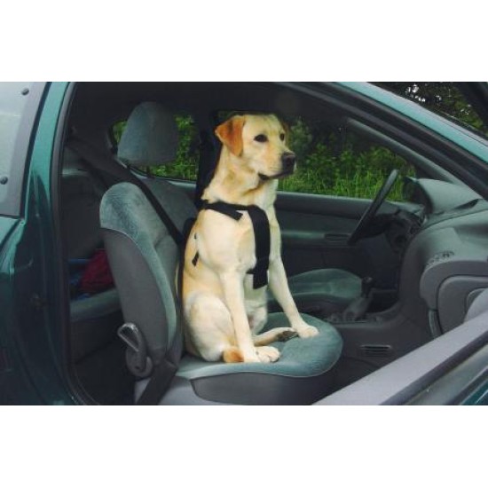Wandel- en autogordel hond XL
