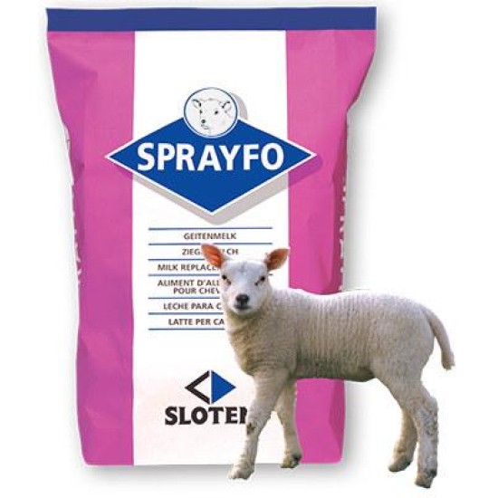 Schapenlammeren melk 