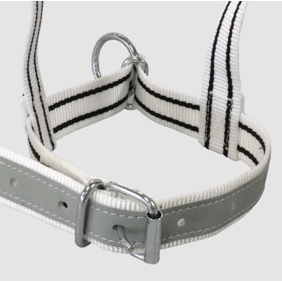 Stierenhalster nylon met D-ring Stierenhalster nylon met D-ring