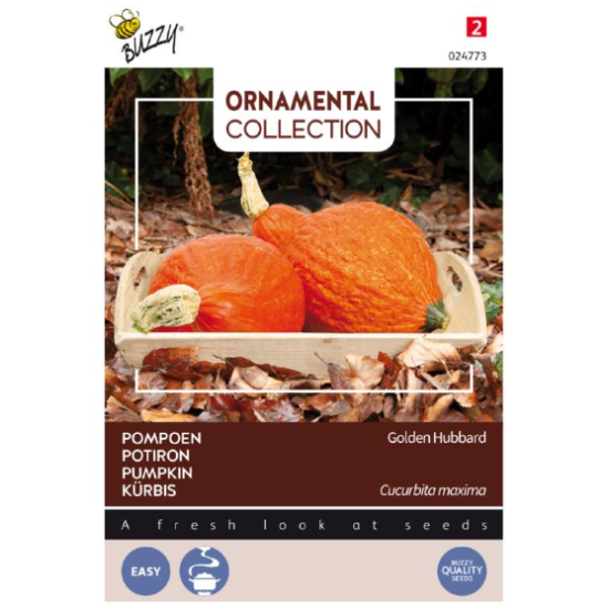 Buzzy Ornamental, Pompoen Golden Hubbard