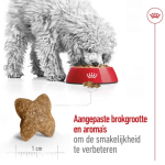 Royal Canin mini adult 2KG