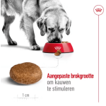 Royal Canin medium adult 7+ 4KG