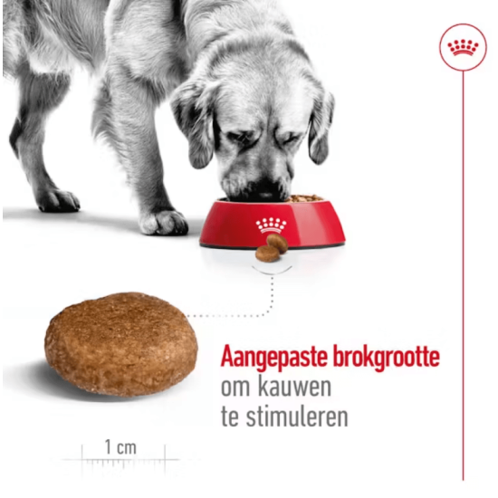 Royal Canin medium adult 7+ 4KG