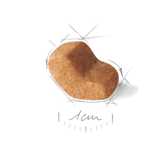 Royal Canin shih tzu adult 1.5KG