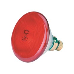 Warmtelamp EB 100W rood Philips