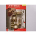 Carpoint accupoolklemset