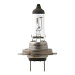 Philips Gloeilamp premium H7