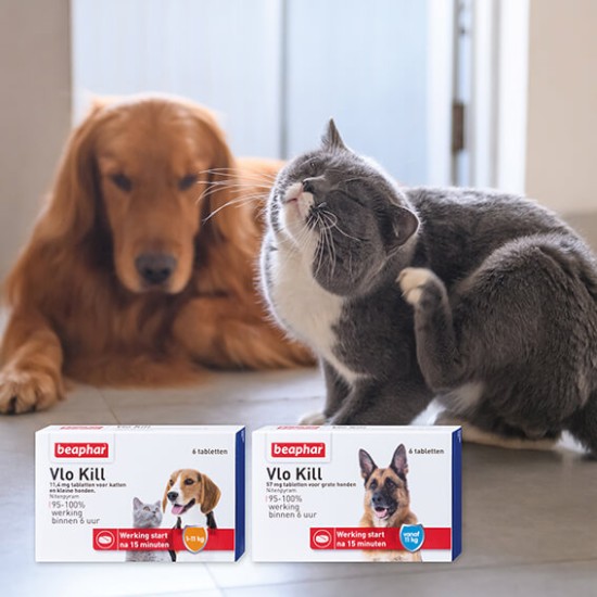 Beaphar Vlo Kill kat en hond tot 11kg