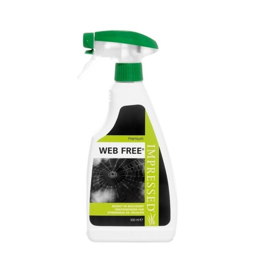 Spider Web Free Insect Clean 500ml