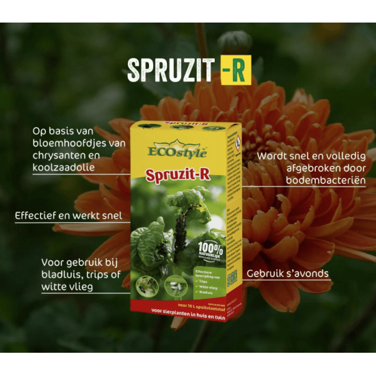 EcoStyle Spruzit-R 100ml