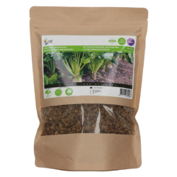 Voederbieten Zentaur Poly 250gr