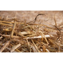 Gehakseld stro Gehakseld stro