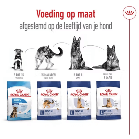 Royal Canin Maxi Ageing 8+ 15kg