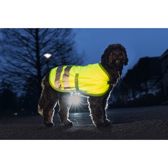 Hondenjas Reflectie Teddie geel 30cm