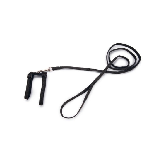 Kattentuigje nylon zwart 130cm
